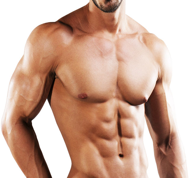 Observation Course Body
